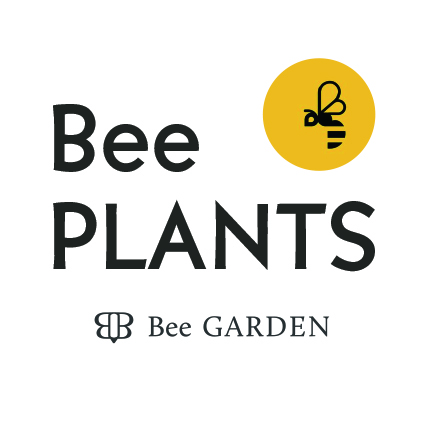 bee plants